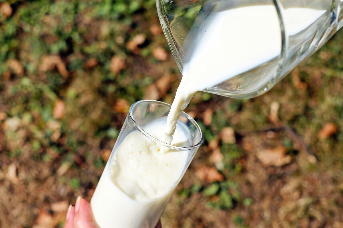 Milch wird in ein Glas gefüllt