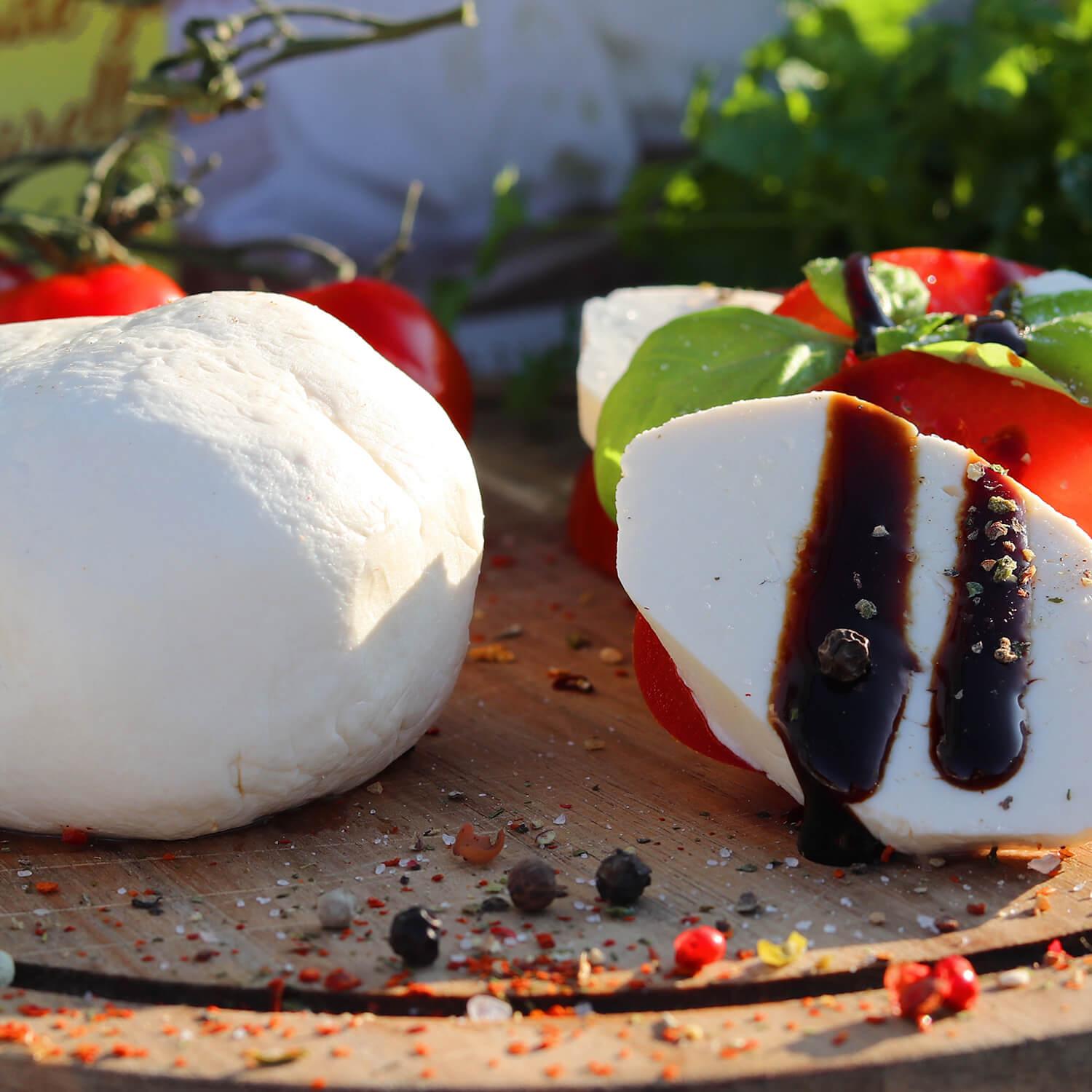 Mozzarella und Ricotta selber machen Set