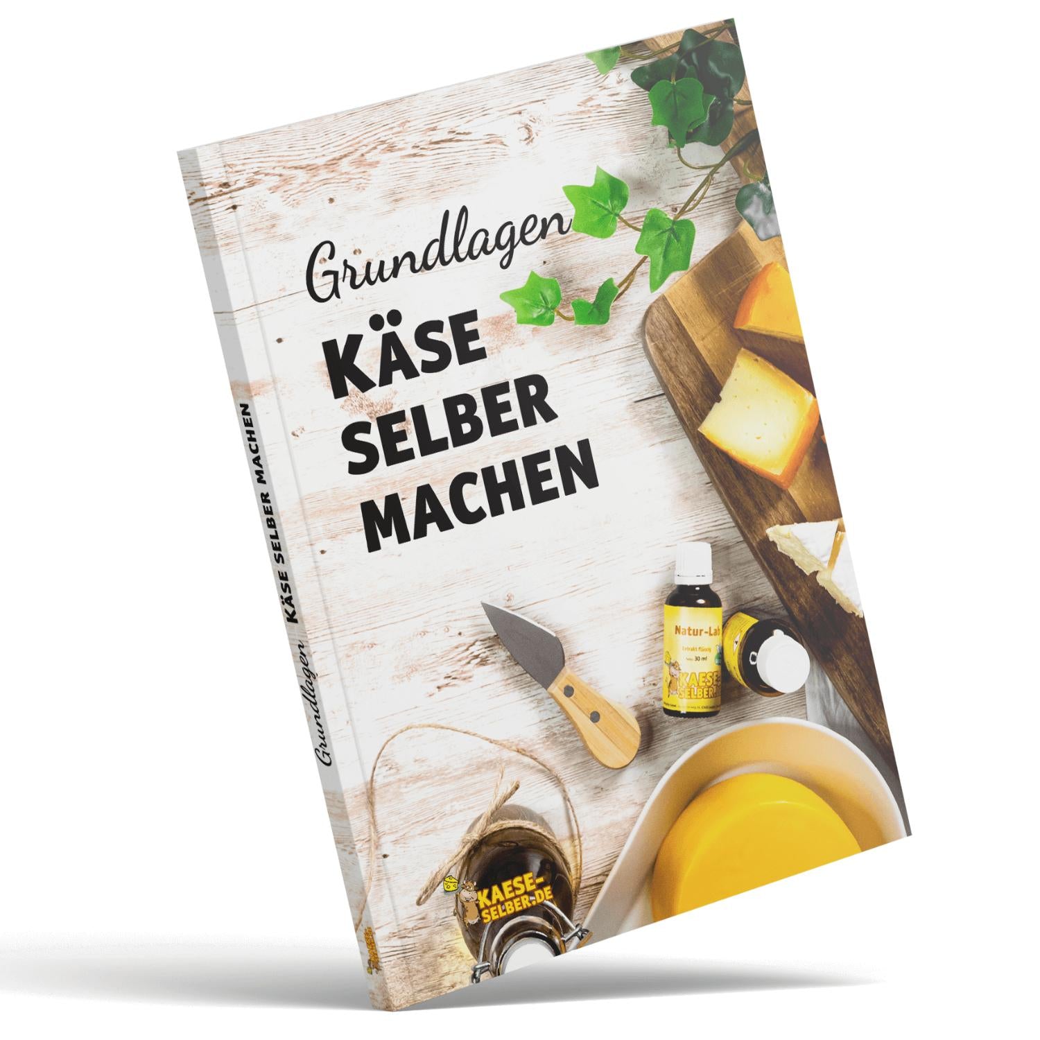 Grundlagenbuch Käse selber machen